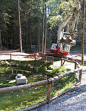 Uferbefestigung an einem Waldweiher