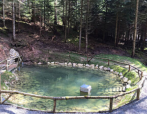 Uferbefestigung an einem Waldweiher